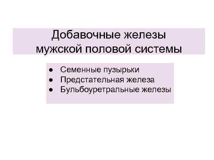 Добавочные железы мужской половой системы ● Семенные пузырьки ● Предстательная железа ● Бульбоуретральные железы