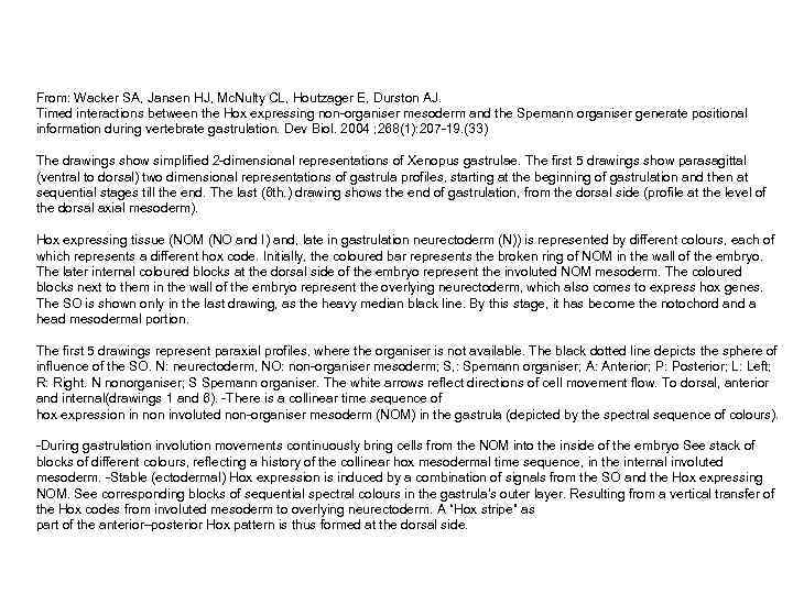 From: Wacker SA, Jansen HJ, Mc. Nulty CL, Houtzager E, Durston AJ. Timed interactions