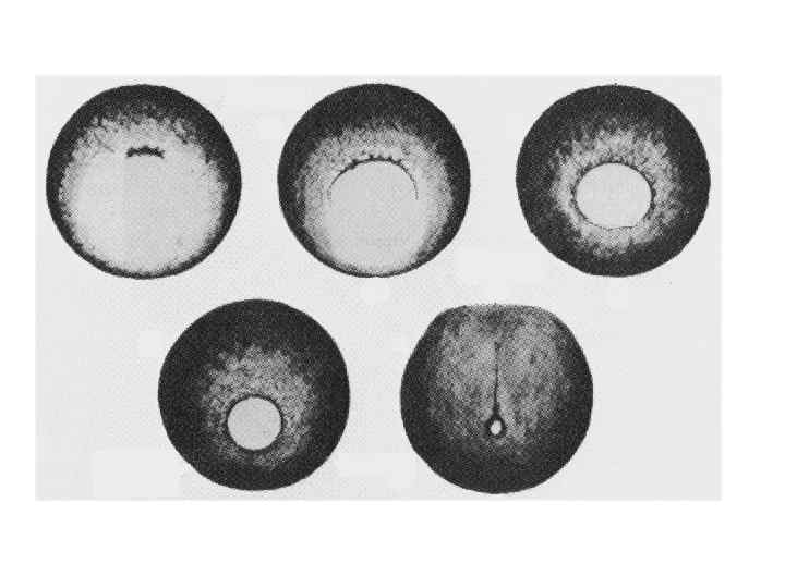 Фотоальбом Пользователь 