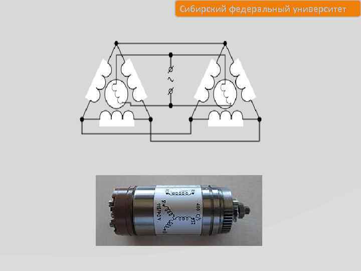 Сибирский федеральный университет 