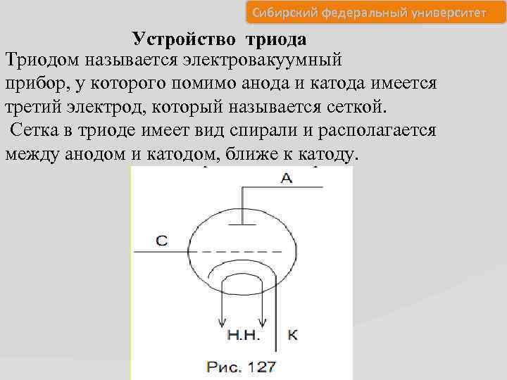 Сибирский федеральный университет Устройство триода Триодом называется электровакуумный прибор, у которого помимо анода и