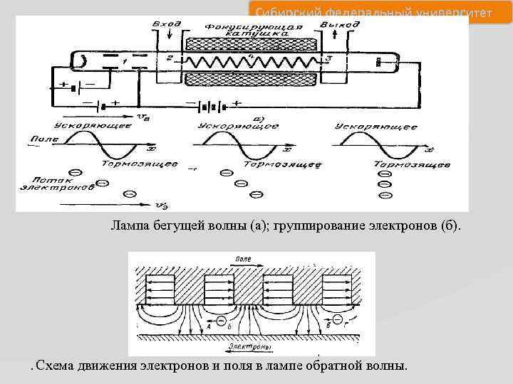 Сибирский федеральный университет Лампа бегущей волны (а); группирование электронов (б). . Схема движения электронов