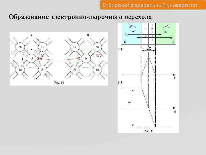 Сибирский федеральный университет Образование электронно-дырочного перехода 