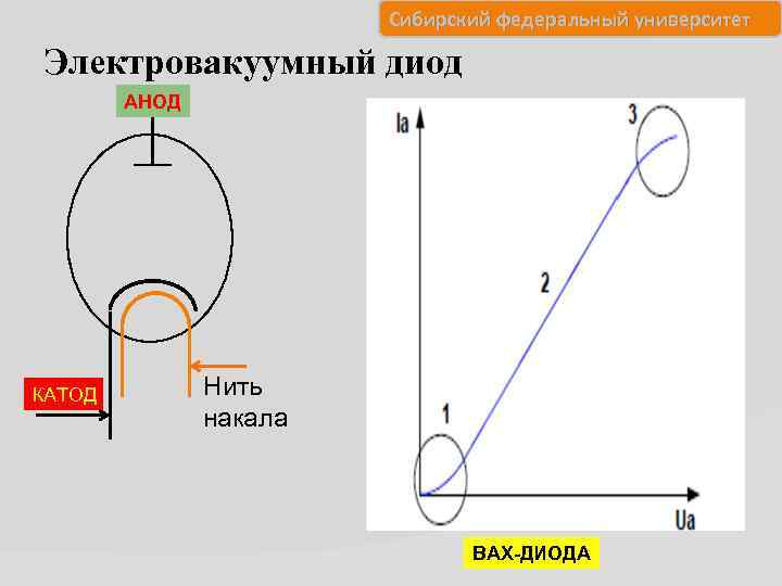 Сибирский федеральный университет Электровакуумный диод АНОД КАТОД Нить накала ВАХ-ДИОДА 