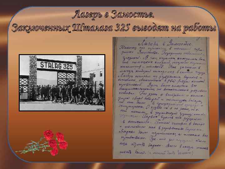 Лагерь в Замостье. Заключенных Шталага 325 выводят на работы 