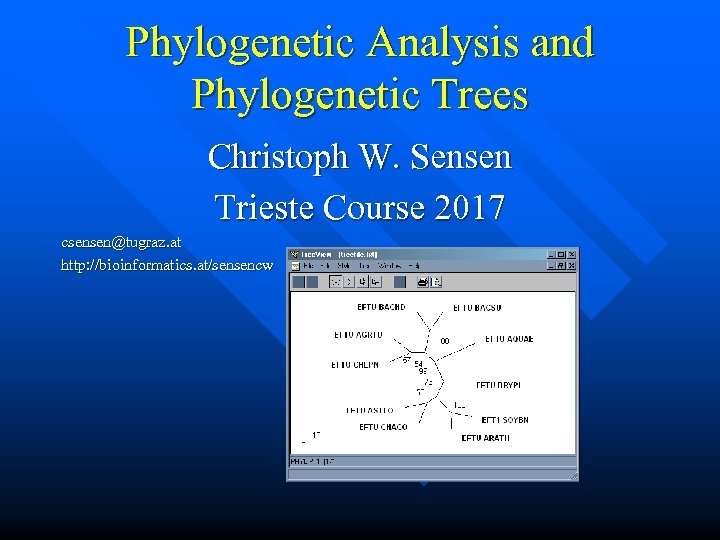 Phylogenetic Analysis and Phylogenetic Trees Christoph W. Sensen Trieste Course 2017 csensen@tugraz. at http:
