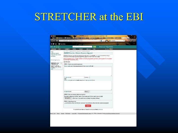 STRETCHER at the EBI 