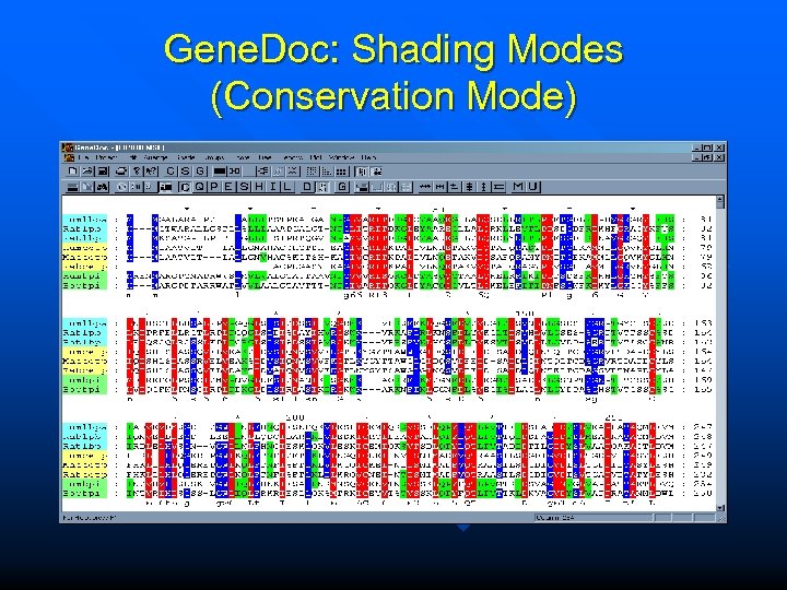 Gene. Doc: Shading Modes (Conservation Mode) 
