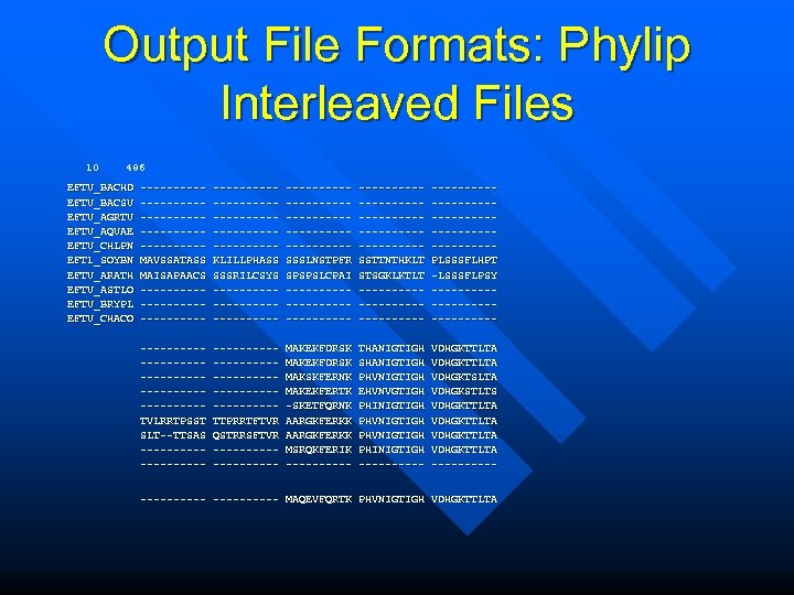 Output File Formats: Phylip Interleaved Files 10 486 EFTU_BACHD EFTU_BACSU EFTU_AGRTU EFTU_AQUAE EFTU_CHLPN EFT