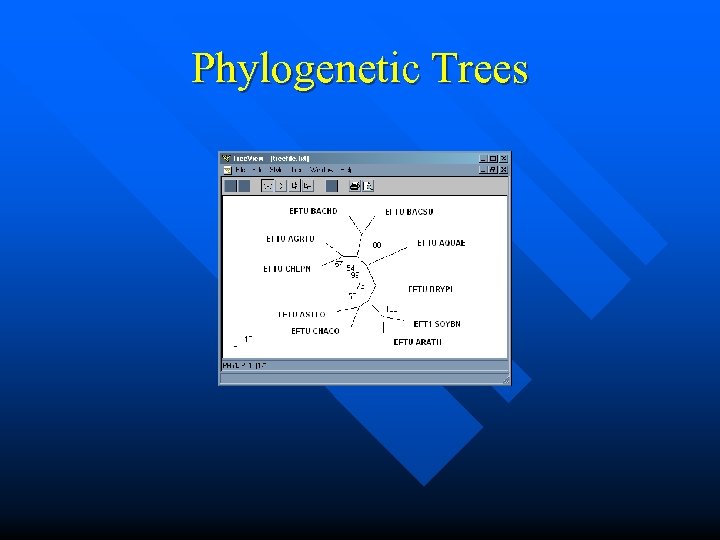 Phylogenetic Trees 