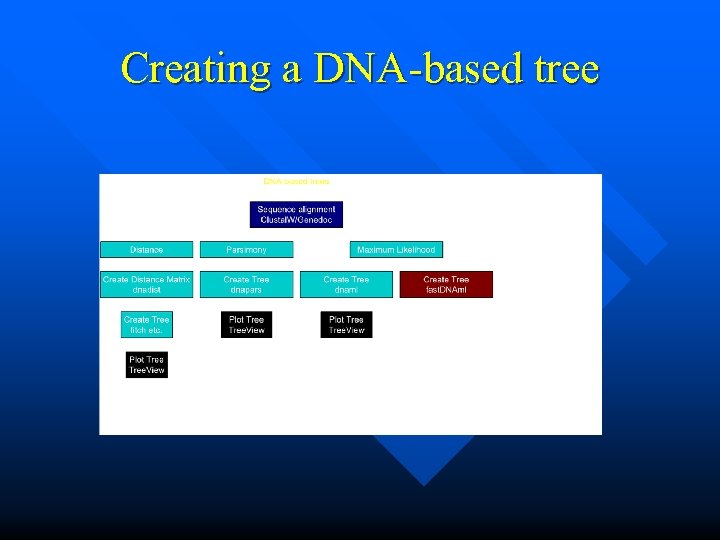 Creating a DNA-based tree 