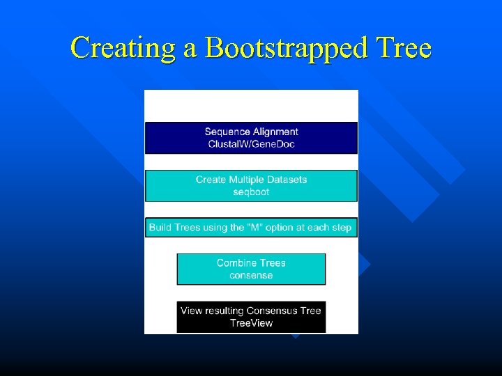 Creating a Bootstrapped Tree 