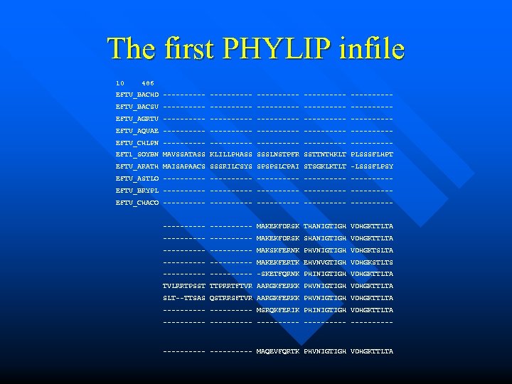 The first PHYLIP infile 10 486 EFTU_BACHD ---------- -----EFTU_BACSU ---------- -----EFTU_AGRTU ---------- -----EFTU_AQUAE ----------