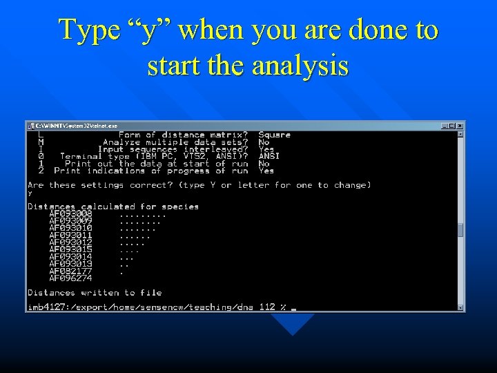 Type “y” when you are done to start the analysis 