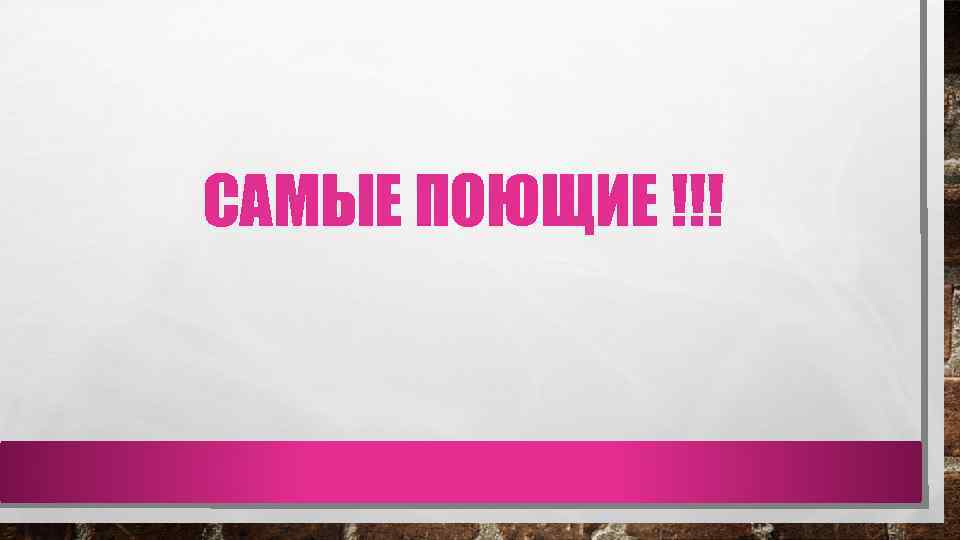 САМЫЕ ПОЮЩИЕ !!! 