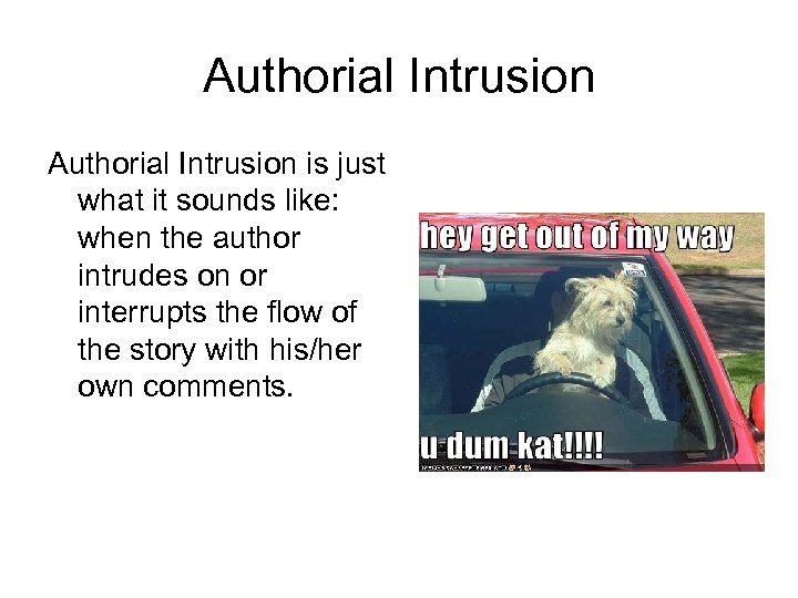 Authorial Intrusion is just what it sounds like: when the author intrudes on or