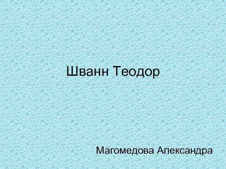 Шванн Теодор Магомедова Александра 
