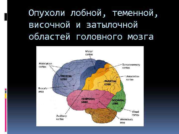 Опухоли лобной, теменной, височной и затылочной областей головного мозга 