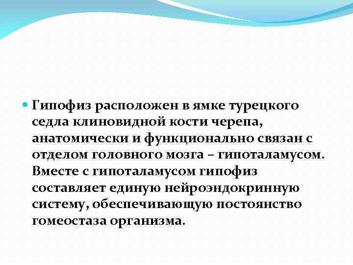  Гипофиз расположен в ямке турецкого седла клиновидной кости черепа, анатомически и функционально связан