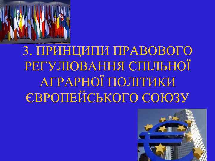 3. ПРИНЦИПИ ПРАВОВОГО РЕГУЛЮВАННЯ СПІЛЬНОЇ АГРАРНОЇ ПОЛІТИКИ ЄВРОПЕЙСЬКОГО СОЮЗУ 