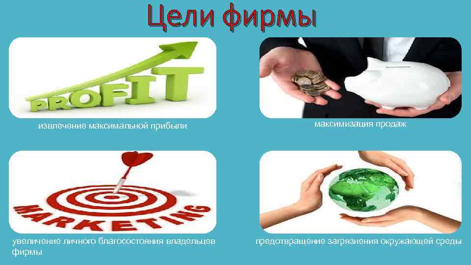 Цели фирмы извлечение максимальной прибыли максимизация продаж увеличение личного благосостояния владельцев фирмы предотвращение загрязнения