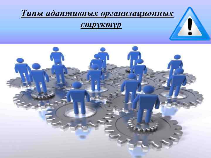Типы адаптивных организационных структур 