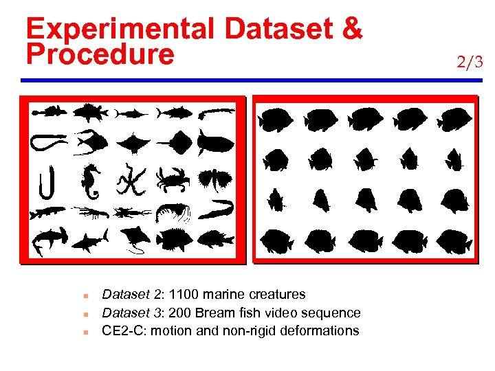 Experimental Dataset & Procedure n n n Dataset 2: 1100 marine creatures Dataset 3:
