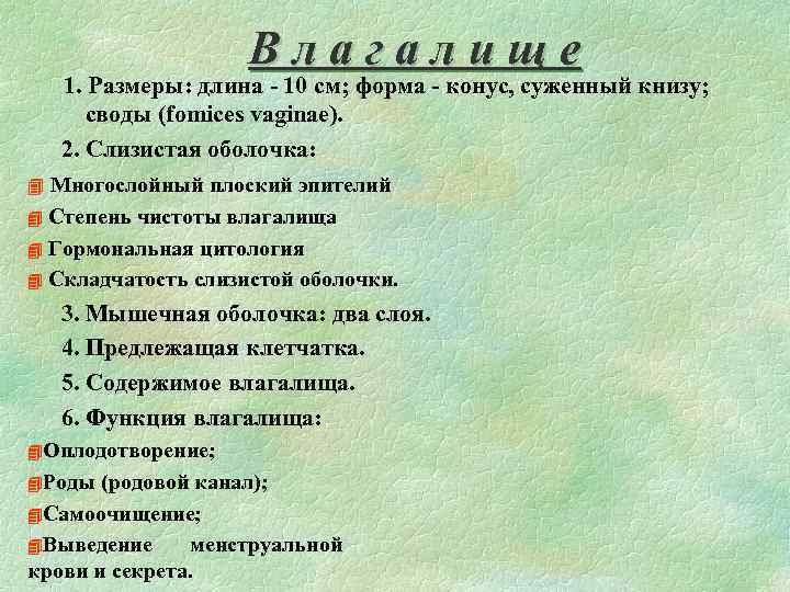 Влагалище 1. Размеры: длина - 10 см; форма - конус, суженный книзу; своды (fomices