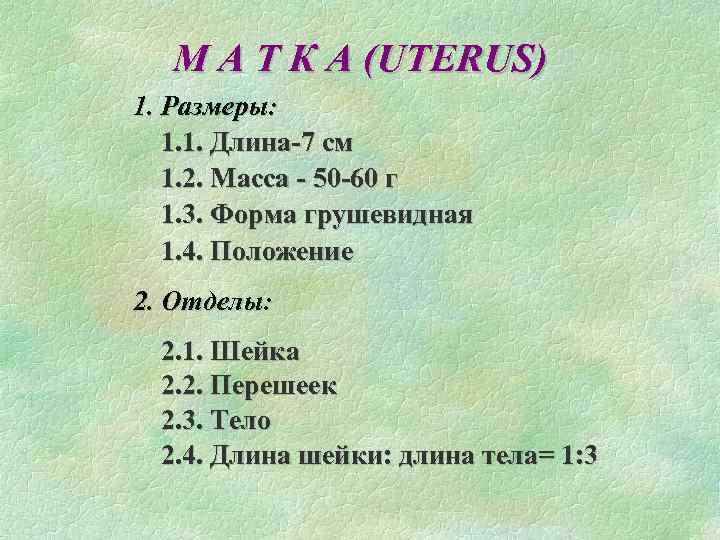 М А Т К А (UTERUS) 1. Размеры: 1. 1. Длина-7 см 1. 2.