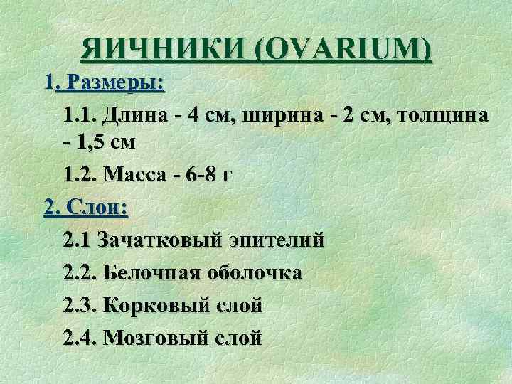 ЯИЧНИКИ (OVARIUM) 1. Размеры: 1. 1. Длина - 4 см, ширина - 2 см,