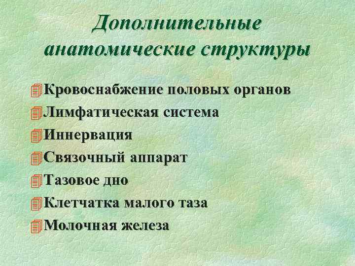 Дополнительные анатомические структуры 4 Кровоснабжение половых органов 4 Лимфатическая система 4 Иннервация 4 Связочный