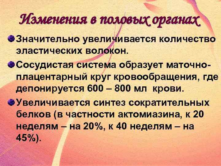 Изменения в половых органах Значительно увеличивается количество эластических волокон. Сосудистая система образует маточноплацентарный круг