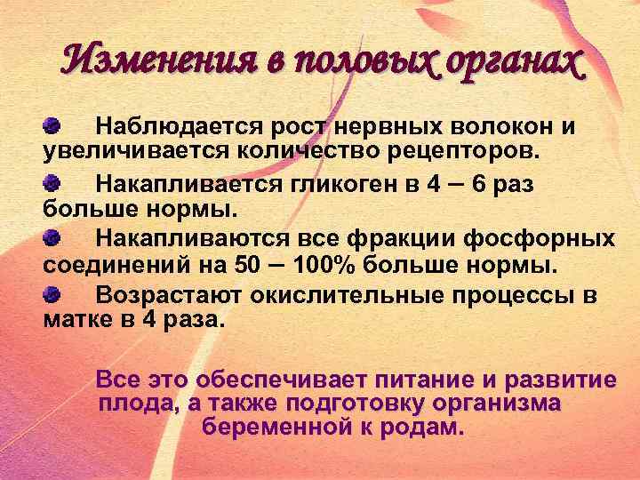 Изменения в половых органах Наблюдается рост нервных волокон и увеличивается количество рецепторов. Накапливается гликоген