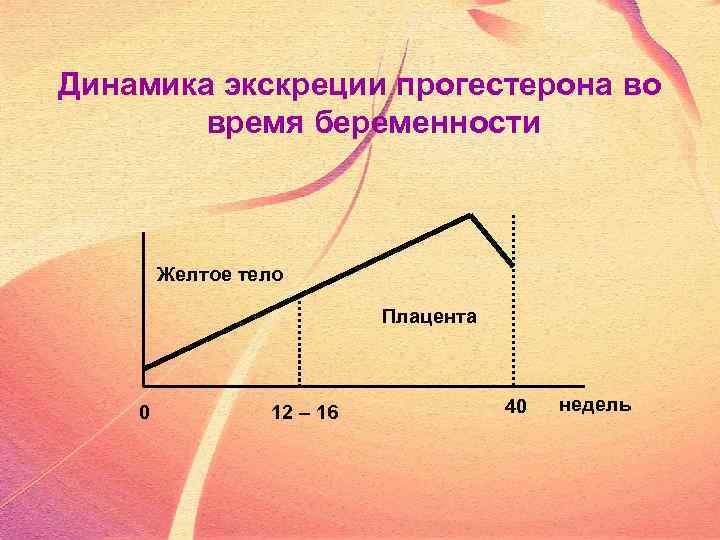 Динамика экскреции прогестерона во время беременности Желтое тело Плацента 0 12 – 16 40