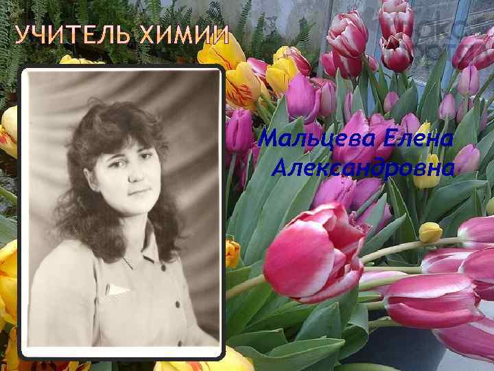 Мальцева Елена Александровна 