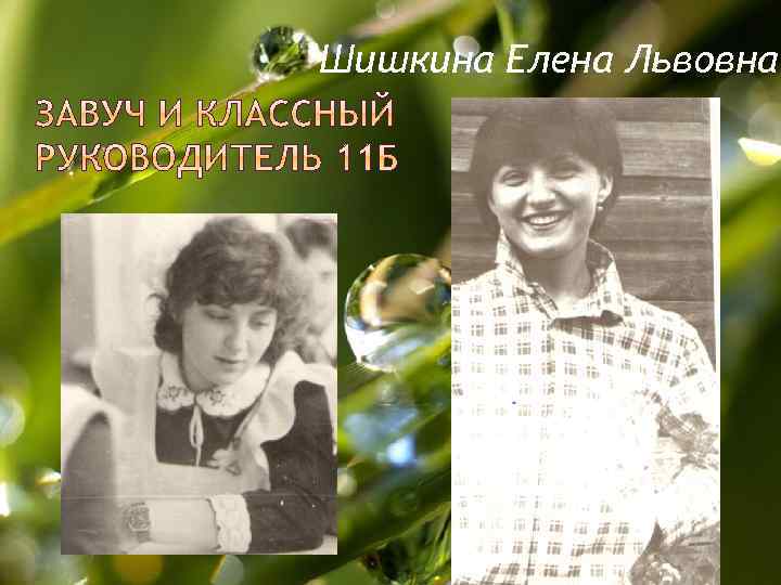 Шишкина Елена Львовна 