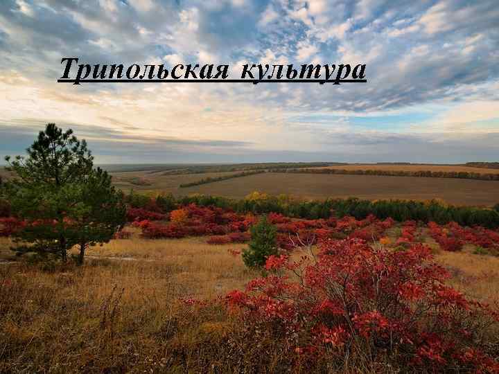 Трипольская культура 