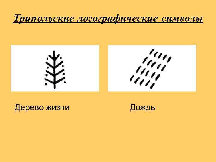 Трипольские логографические символы Дерево жизни Дождь 