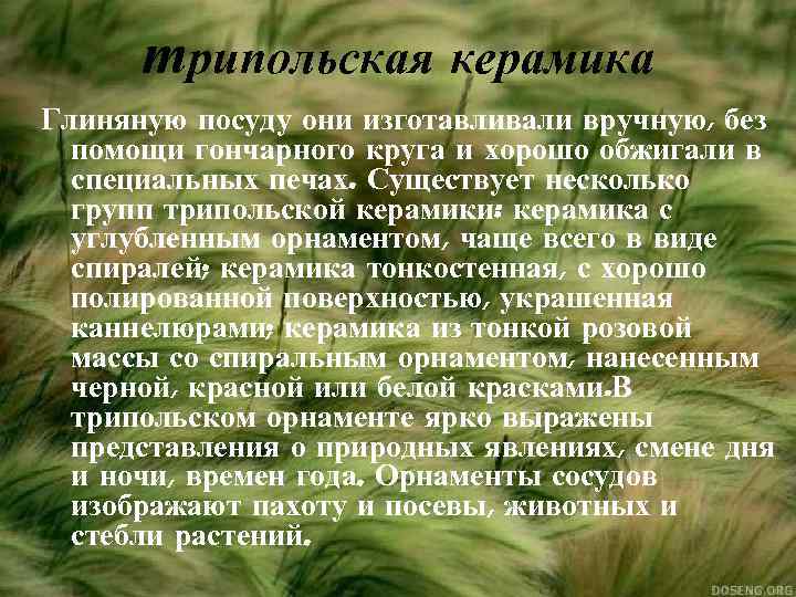 трипольская керамика Глиняную посуду они изготавливали вручную, без помощи гончарного круга и хорошо обжигали