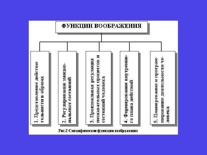 Функции воображения