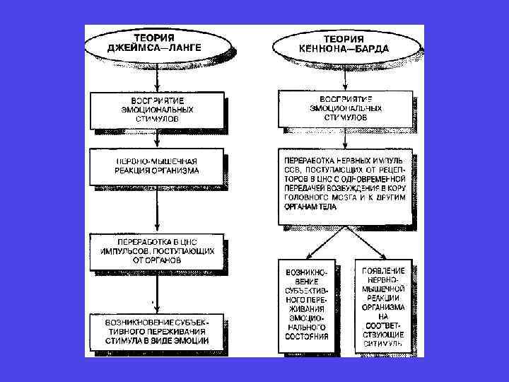 Согласно периферической концепции эмоций джеймса ланге развитие эмоции происходит по следующей схеме