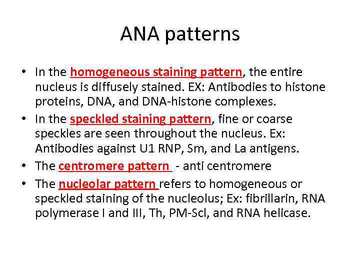 ANA patterns • In the homogeneous staining pattern, the entire nucleus is diffusely stained.