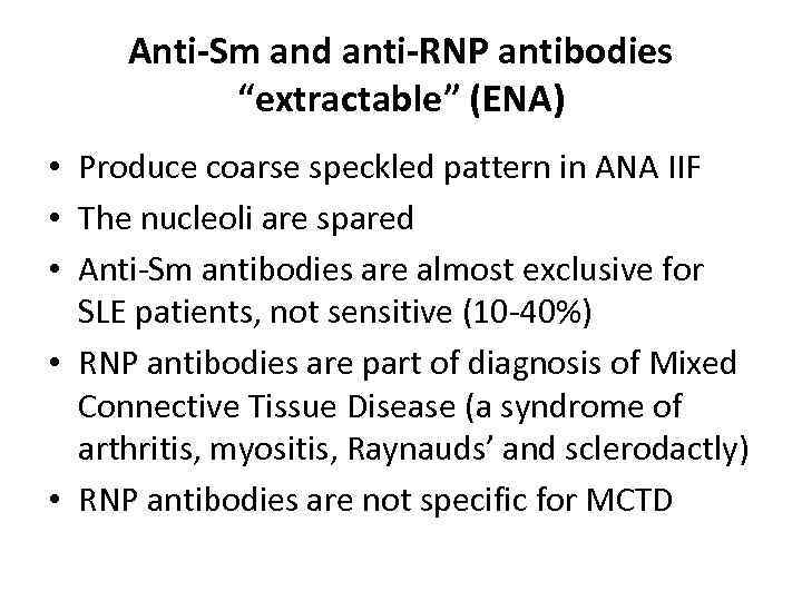 Anti-Sm and anti-RNP antibodies “extractable” (ENA) • Produce coarse speckled pattern in ANA IIF