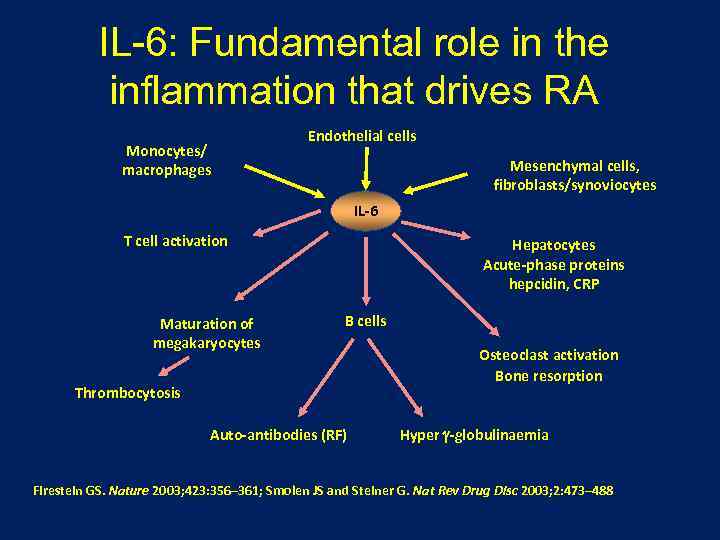 IL-6: Fundamental role in the inflammation that drives RA Monocytes/ macrophages Endothelial cells Mesenchymal