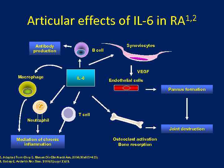 Articular effects of IL-6 in Antibody production B cell 1, 2 RA Synoviocytes VEGF