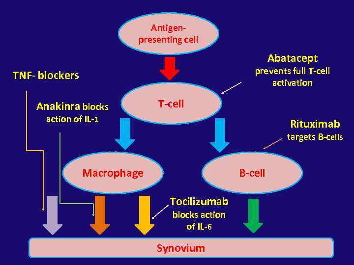 Antigenpresenting cell Abatacept prevents full T-cell activation TNF- blockers Anakinra blocks T-cell action of