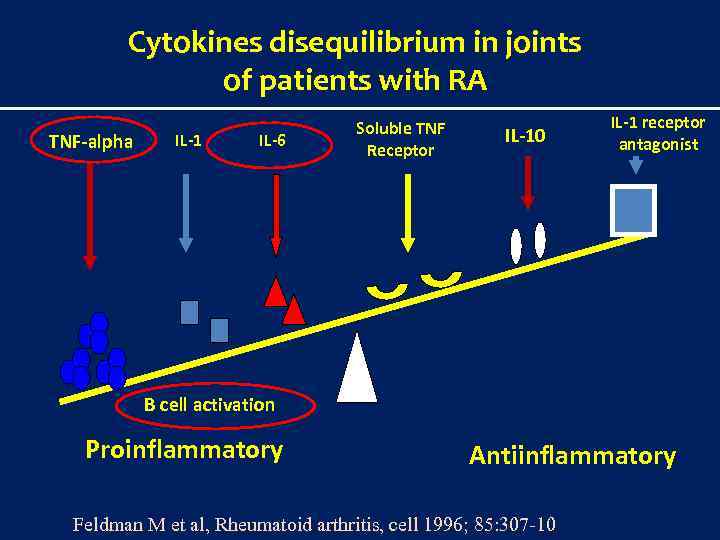 Cytokines disequilibrium in joints of patients with RA TNF-alpha IL-1 IL-6 Soluble TNF Receptor