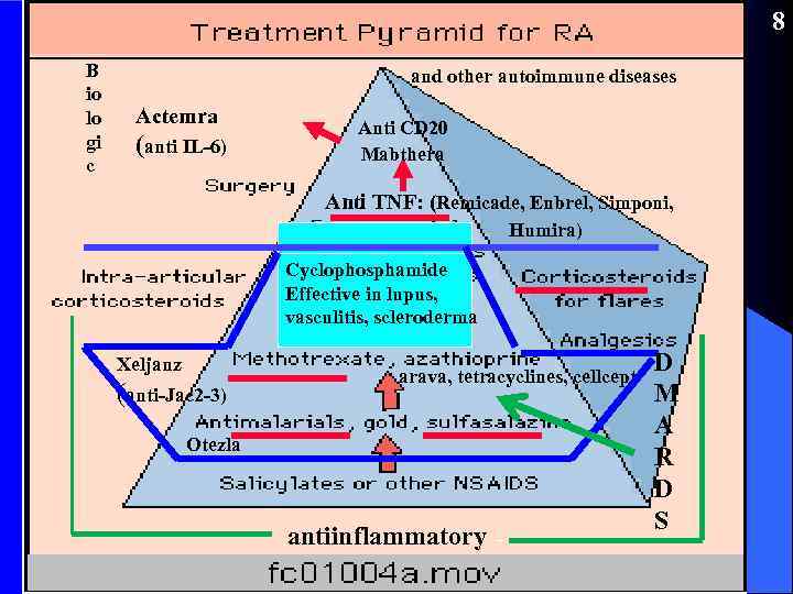 8 B io lo gi c and other autoimmune diseases Actemra (anti IL-6) Anti