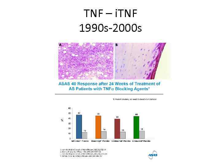 TNF – i. TNF 1990 s-2000 s 