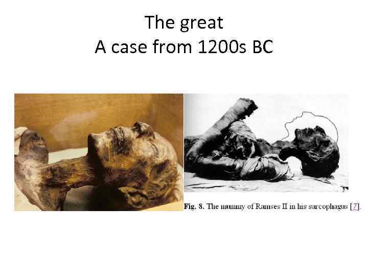 The great A case from 1200 s BC 